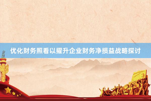 优化财务照看以擢升企业财务净损益战略探讨