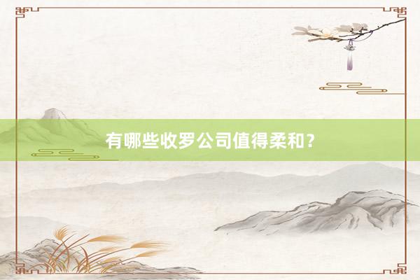 有哪些收罗公司值得柔和？