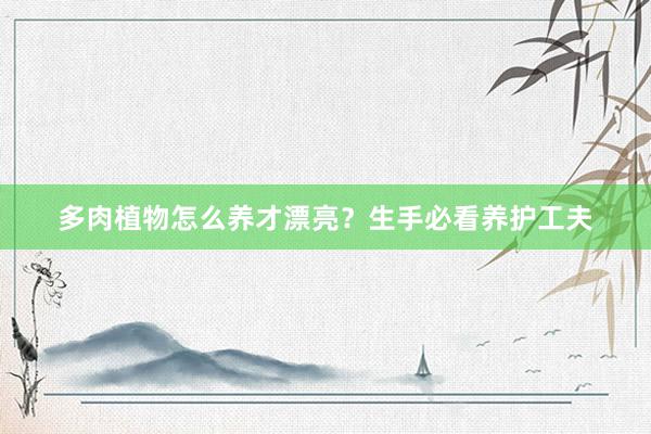 多肉植物怎么养才漂亮？生手必看养护工夫