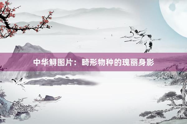 中华鲟图片：畸形物种的瑰丽身影