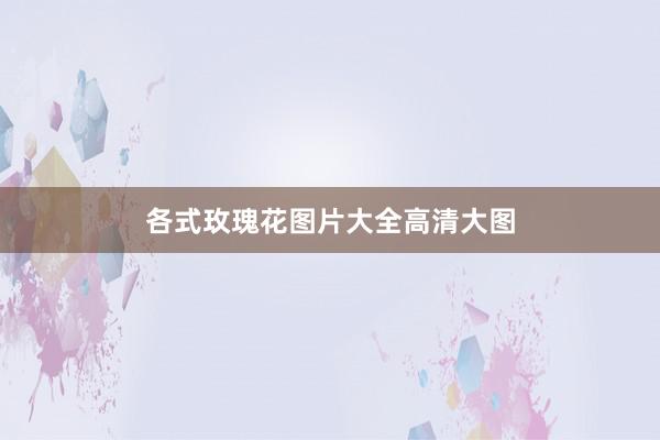 各式玫瑰花图片大全高清大图